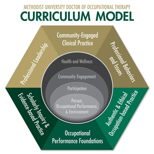 OTD Curriculum Model