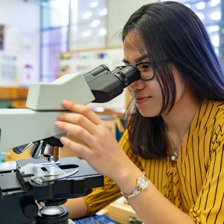 A student looks through a microscope