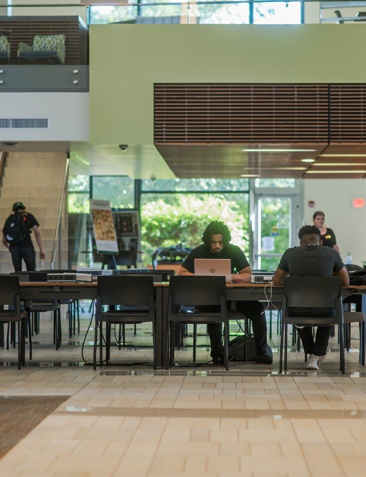 Students in the Library